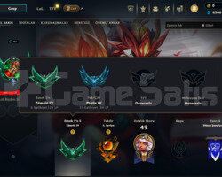 PLAT 4 + 38LP 73WR -10LP 12 Skin