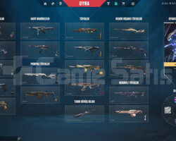 ARCANE SETLİ GUARDİANINA KADAR 3 SKİNLİ ACC!