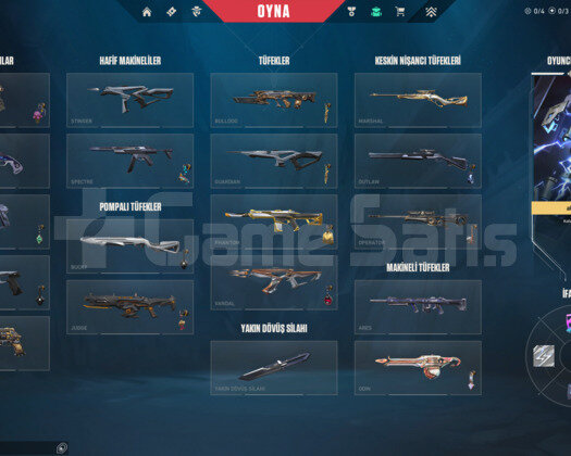 ARCANE SETLİ GUARDİANINA KADAR 3 SKİNLİ ACC!