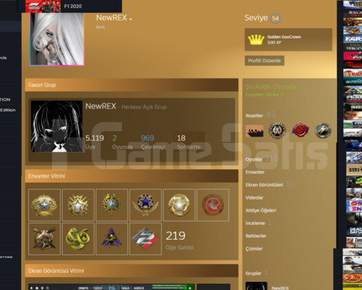 15 MADALYALI 54 LVL STEAM 118 OYUN TR HESABI