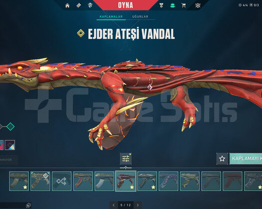 DOLULAR DOLUSU VİDEOLU İMMO 1 NADİRLİK HESAP