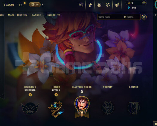 EUW Unranked | 1 Kostüm - 30 Hero | LoL Hesap