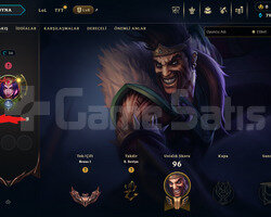 bronz 2 adc main 66 wr ucuz acc