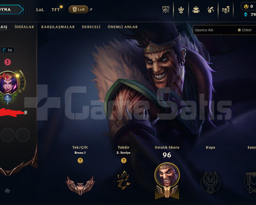 bronz 2 adc main 66 wr ucuz acc