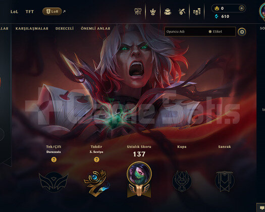 EUW Unranked | 8 Kostüm - 50 Hero | Ranked Ready