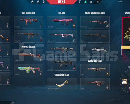Valorant Bol Skinli Immortal Uğurluklu Hesap