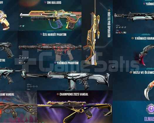 Skinli Valorant Hesabıı Diamond 3