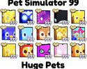 SINIRLI SAYIDA RANDOM HUGE PET