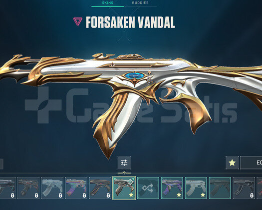 TR Demir 1 | 3 Vandal - 2 Phantom | Hesap