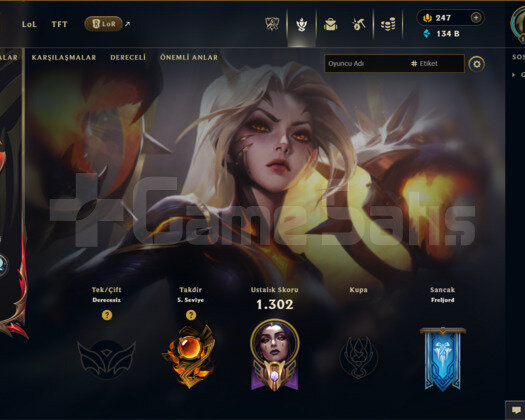 EUW | 1142 SKİN | UNRANKED