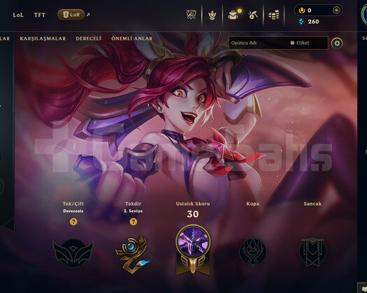 EUW Unranked | 8 Kostüm - 39 Hero | LoL