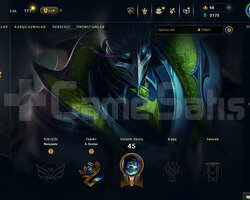 EUW Unranked | 8 Kostüm - 45 Hero | LoL