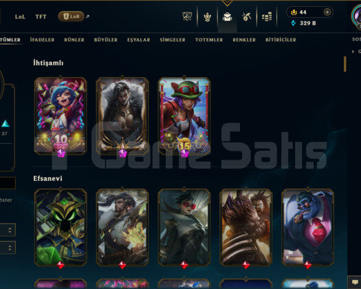 EUW | 153 SKİN | PLATİN 2