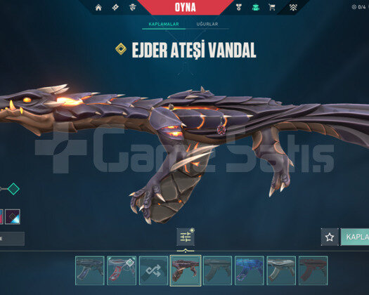 TR +30K VP ENV. / GO! BIÇAK / DOLU HESAP