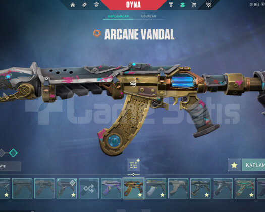 +54K VP ENV. / VCT25 KARAMBİT / ARCANE VANDAL