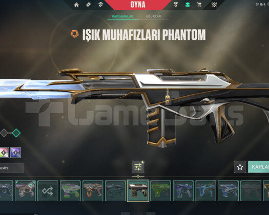 +54K VP ENV. / VCT25 KARAMBİT / ARCANE VANDAL