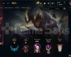 EUW | 269 SKİN | PLATİN 4