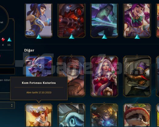 EUW 133 CHAMP KATA MAİN 38 KOSTÜM P3 ACC HANDMADE!