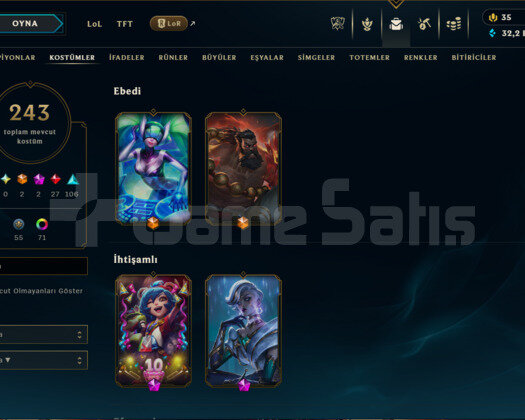 13 YILLIK EMEK|10 ŞANLI SKİN|243 KOSTÜM|169 HERO