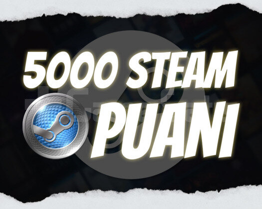 STEAM - 5.000 Steam Puanı