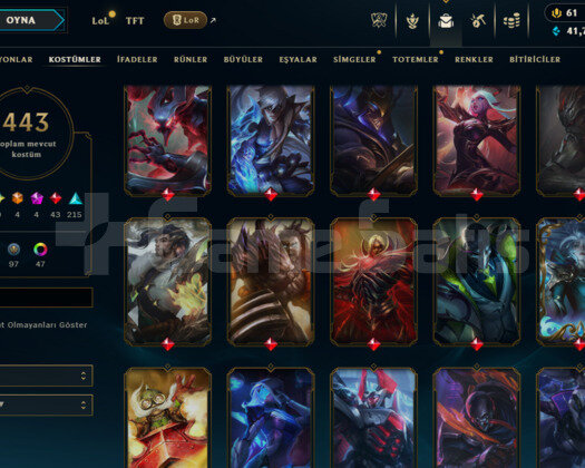 391 LEVEL / 443 SKIN / FULL HERO / +MAIL / KAÇMAZ!