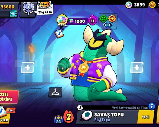 56K DOPDOLU FULL SKIN MAIN HESAP