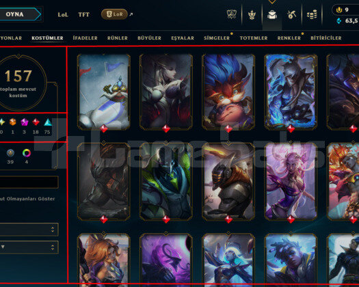 178 LEVEL / 157 SKIN / FULL HERO / +MAIL / +TEL