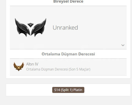 GEÇEN SEZON PLAT / DERECELİ HAZIR / JUNG MAİN