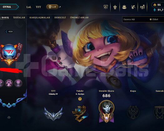 420 LEVEL / 414 SKIN / TFT DEĞERLİ / +MAIL / +TEL