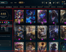 592 LEVEL / 448 SKIN / FULL HERO / +MAIL / +TEL