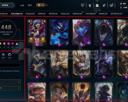 592 LEVEL / 448 SKIN / FULL HERO / +MAIL / +TEL