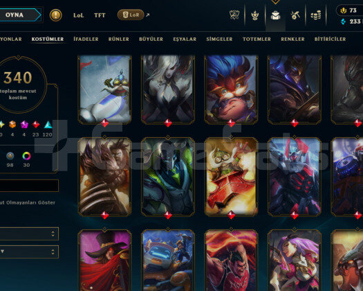 315 LEVEL / 340 SKIN / FULL HERO / +MAIL / +TEL