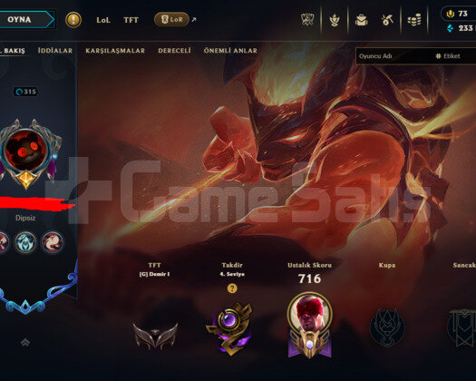 315 LEVEL / 340 SKIN / FULL HERO / +MAIL / +TEL