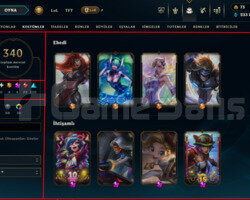 315 LEVEL / 340 SKIN / FULL HERO / +MAIL / +TEL