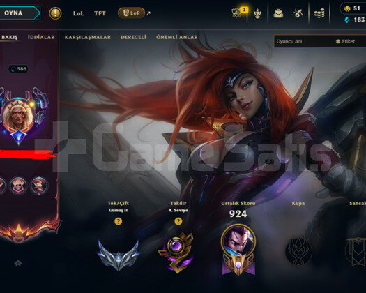 586 LEVEL / 298 SKIN / FULL HERO / +MAIL / +TEL