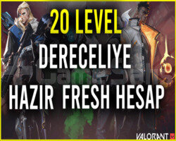 13 adet valorant unranked hespa mailli
