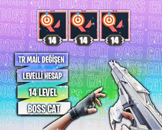 TR - 14 LEVEL - MAİL DEĞİŞEN HESAPLAR !