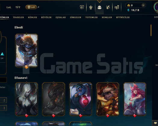 TR | 91 SKİN | UNRANKED