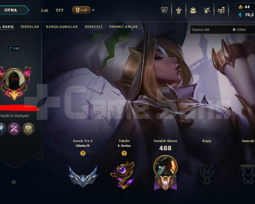 EUW / 143 LEVEL / 331 SKIN / FULL HERO / +MAIL