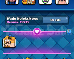6000 KUPA SKİNLİ BALDAN UCUZ HESAP !!