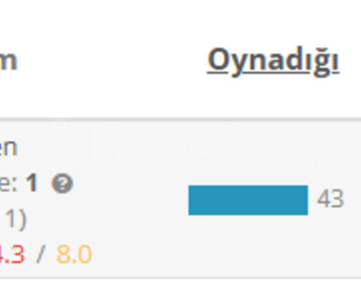 TR/EU WEST HESAP KASILIR GÜN İÇİNDE TESLİM EDİLİR