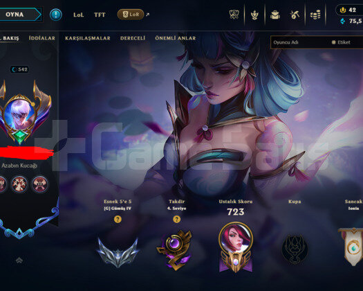 542 LEVEL / 632 SKIN / 33 İHTİŞAMLI / +MAIL KAÇMAZ