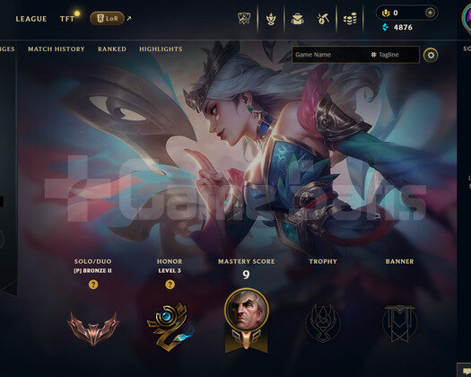 TR Bronz 2 | 2 Kostüm - 49 Hero | LoL Hesap