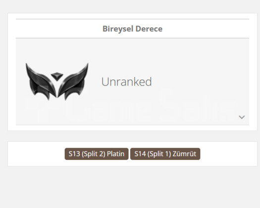 GEÇEN SEZON ZÜMRÜT / DERECELİ HAZIR / UNRANKED