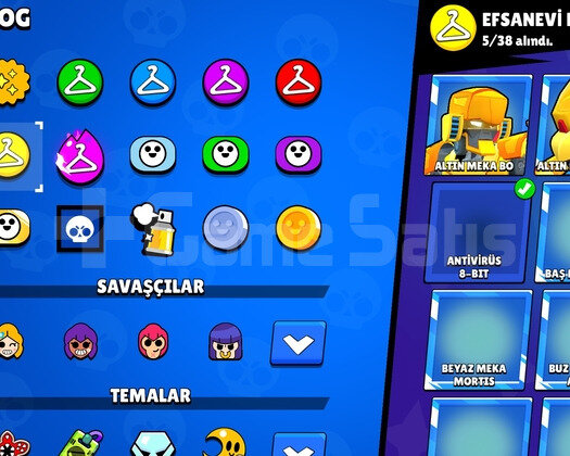 Emektar Fena Güzel Bs Hesabi