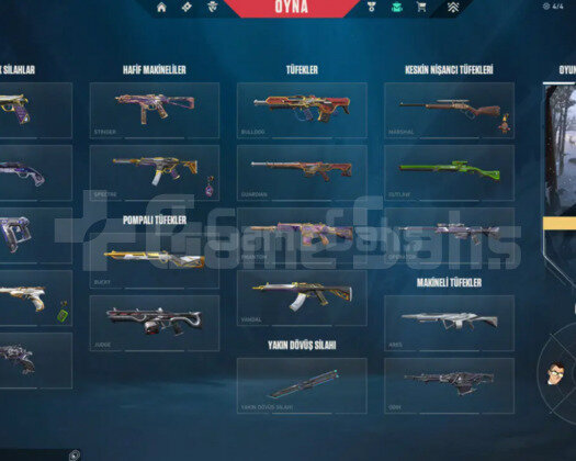 5K VPLİ TEMİZ BOL SKİNLİ TR HESAP