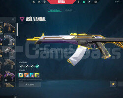 5K VPLİ TEMİZ BOL SKİNLİ TR HESAP