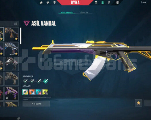 5K VPLİ TEMİZ BOL SKİNLİ TR HESAP