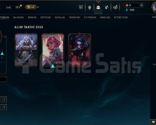 TR 37 LEVEL 3 SKİNLİ HESAP