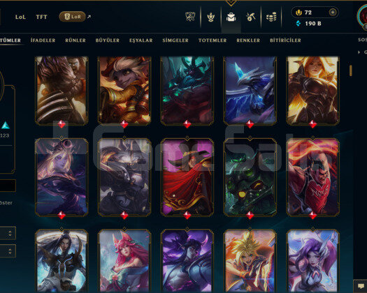 EUW | 340 SKİN | BRONZ 1